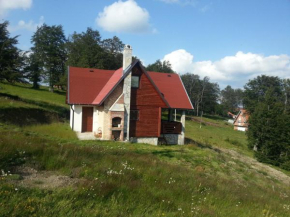 Отель Holiday Home Golija  Плешин